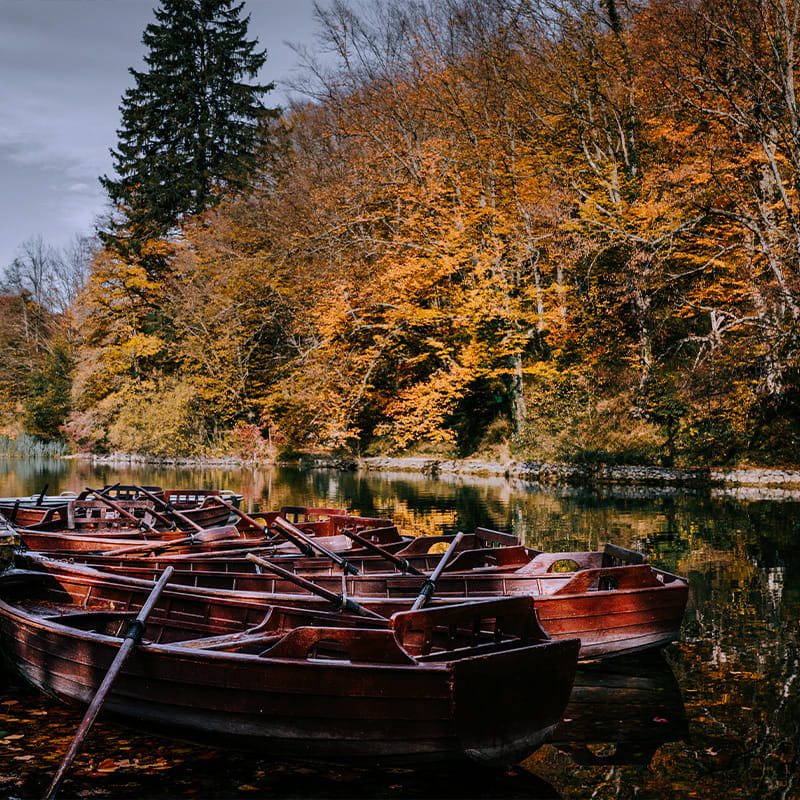 Location Autumn Forest & Wellbeing brown row boats on a lake in Plitvice national park on a clear autumn day
