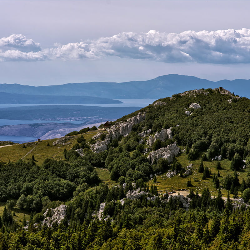 Location Northern Velebit forest and peak of Northern Velebit national park on a sunny day with Kvarner bay and islands and Učka mountain in the background