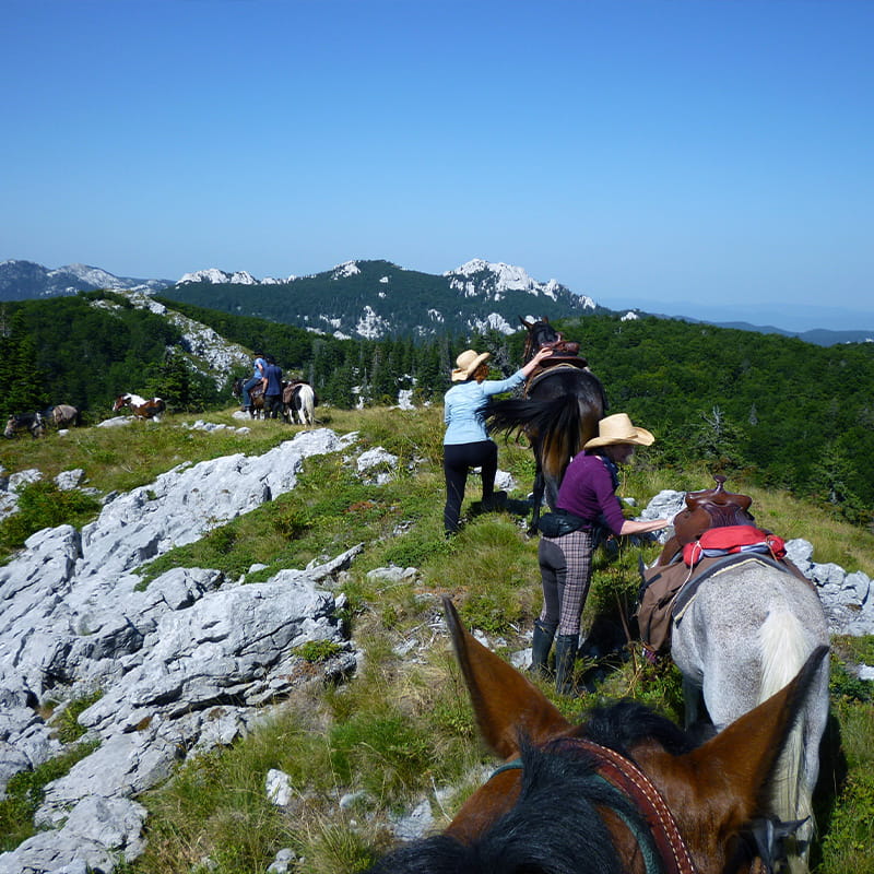 Location Spring Exploration People riding horses on a mountain trail in Velebit mountain on a clear spring day