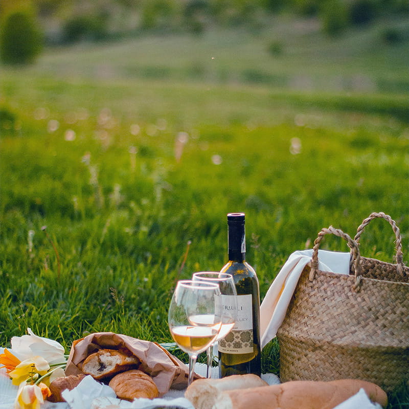 Location Spring Local Flavours picnic setting on a green meadow during spring day