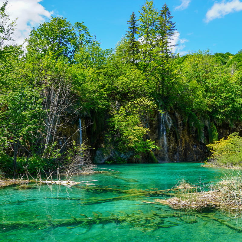 Water Management & Landscape Resilience azure color of Plitvice lakes with a small waterfall surrounded by forest and with dead trees beneath the surface